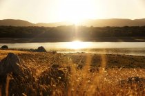 Pittoresca vista lago con percorso di campagna, bosco di abeti e colline del Lago di Valmayor in Spagna — Foto stock