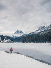 Helle Figur eines Mannes in warmer Kleidung, der in einer verschneiten Gegend vor dem Hintergrund felsiger Berge und dichter Wälder steht — Stockfoto