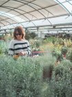 Frau sucht Pflanzen für Garten auf Blumenmarkt aus — Stockfoto