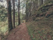 Rückansicht von Wanderern bewundernde Aussicht beim Wandern auf Pfaden durch wildes Gebiet in den Dolomiten, Italien — Stockfoto