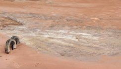 Surface rocheuse brun sec dans des fissures avec des pneus — Photo de stock