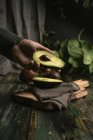 Mão humana segurando metade do abacate sobre mesa de madeira — Fotografia de Stock