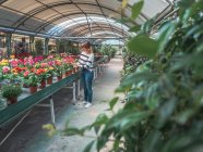 Frau sucht Pflanzen für Garten auf Blumenmarkt aus — Stockfoto