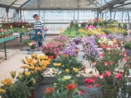 Woman choosing plants for garden on flower market — Stock Photo