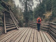 Rückansicht einer Touristin, die beim Wandern in den Dolomiten einen wunderschönen Blick auf den Bergwald genießt — Stockfoto