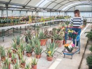 Femme client avec chariot sur le marché des fleurs — Photo de stock