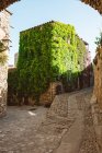 View medieval village and building view creeping plant — Stock Photo