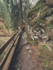 Vue latérale de la photographie du voyageur tout en marchant sur le sentier de randonnée de la région pittoresque de Dolomites, Italie — Photo de stock