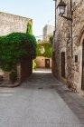Vista medieval aldeia e edifícios vista rastejando plantas — Fotografia de Stock