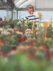 Cliente femenino eligiendo flores en invernadero - foto de stock