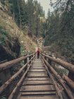 Vue arrière du touriste féminin admirant une vue imprenable sur les Alpes tout en marchant sur le sentier de randonnée dans les Dolomites, Italie — Photo de stock