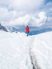 Unrecognizable person standing in snow surrounded by forest and mountains — Stock Photo