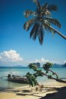 Мальовничий ландшафт Таїланду пляж з бірюзовою водою і човник в мілкій воді проти пальми — стокове фото