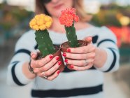 Cropped image of woman with beautiful gray succulent — Stock Photo