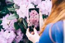 Abgeschnittenes Bild einer rothaarigen Frau mit dem Handy und dem Fotografieren von hell blühenden Blumen im Garten, Schottland — Stockfoto