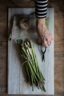 Top view of person hands holding scissors in marble board with pile of asparagus tied with twine rope on wooden table — Stock Photo