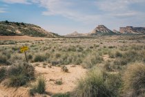 Пустынный холмистый пейзаж с сухой зеленой растительностью — стоковое фото