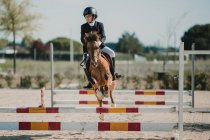 Jockey adolescente a caballo saltando sobre barras horizontales de madera mientras monta en pista de carreras - foto de stock