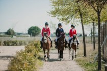 Row of teen women riding horses in row strolling down roadway in sunlight — Stock Photo