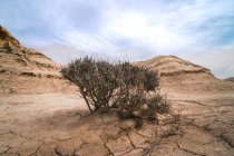 Paisagem de montes de deserto e arbusto seco no fundo do céu azul — Fotografia de Stock