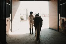 Rückansicht einer jungen Frau in weißem Outfit und Jockeyhelm, die ein Pferd aus dem Stall führt, um draußen zu reiten — Stockfoto