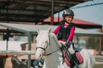 Визначений дівчина-хокей на коні їде на трасі в сонячний день — стокове фото