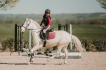 Визначений дівчина-хокей на коні їде на трасі в сонячний день — стокове фото