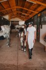 Junge Frau in weißem Outfit und Jockeyhelm führt Pferd zum Ausreiten aus Stall — Stockfoto