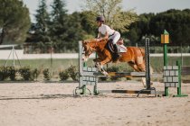Подростковый жокей на лошади перепрыгивает через горизонтальные деревянные решетки во время езды по ипподрому — стоковое фото