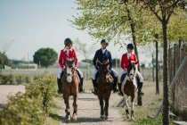Riga di donne adolescenti che cavalcano cavalli in fila passeggiando lungo la strada alla luce del sole — Foto stock