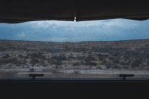 Пустынный ландшафт с зеленой растительностью под облачным небом под дождём из окна автомобиля в полупустыне — стоковое фото