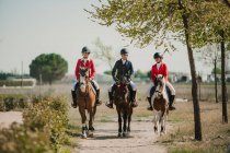 Riga di donne adolescenti che cavalcano cavalli in fila passeggiando lungo la strada alla luce del sole — Foto stock