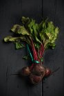 Dark red sugar beetroots on stems with green leaves on black wooden background — Stock Photo