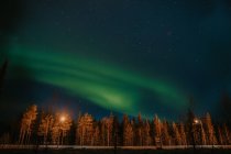 From below starry night sky with amazing green polar lights over conifer forest in Finland — Stock Photo
