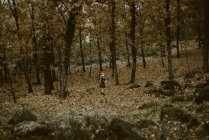Mulher anônima em máscara de raposa de papel andando na misteriosa floresta de outono em tempo nublado. Conceito de proteção do habitat da vida selvagem — Fotografia de Stock
