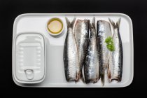 Свіжа промита і масштабована риба без голів на білій тарілці — стокове фото