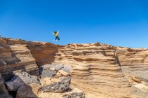 Femme en sweat-shirt jaune sautant avec les bras tendus sur des roches de grès désertes par une journée ensoleillée — Photo de stock