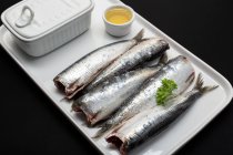 Fresh washed and scaled fish without heads on white plate — Stock Photo