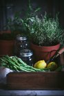 Zusammensetzung der Topfpflanze mit rohen grünen Bohnen und Zitronen mit Glas in Holzkiste — Stockfoto