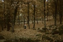 Анонимная женщина в маске лисы ходит в таинственном осеннем лесу в пасмурную погоду. Концепция защиты среды обитания дикой природы — стоковое фото