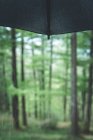 Tip of wet black umbrella on blurred background of forest in summer day — Stock Photo