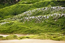 Fußweg und steiniger Hügel in der Natur mit Moos bedeckt — Stockfoto