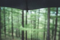 Spitze des nassen schwarzen Regenschirms auf verschwommenem Waldhintergrund an einem Sommertag — Stockfoto