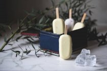 Assorted ice cream popsicles in vintage metallic box on a marble surface decorated with flowers — Stock Photo