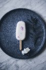 Creamy raspberry popsicle placed on dark plate on marble surface and decorated with flowers — Stock Photo