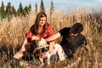 Alegre pareja sentado entre alto hierba y acariciando poco perro en campo - foto de stock