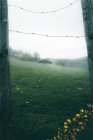 Vista del campo nebuloso a través de vallas de madera con alambre en clima lluvioso. - foto de stock