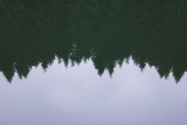Superfície calma de água do lago com reflexo de floresta conífera e céu sem nuvens no campo — Fotografia de Stock
