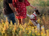 Неузнаваемая пара с маленькой дружелюбной собакой среди желтой травы в парке — стоковое фото