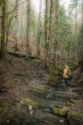 Vista lateral do homem anônimo com mochila em pé em passos naturais com água corrente e em terreno montanhoso — Fotografia de Stock
